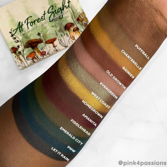 BNIB Colourpop x Raw Beauty Kristi AT FOREST SIGHT Vegan Eyeshadow Palette - Picture 14 of 15